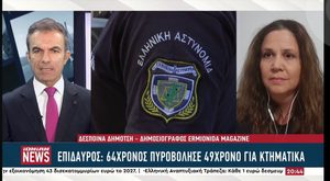 Επίδαυρος: 64χρονος πυροβόλησε 49χρονο για κτηματικά