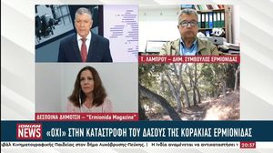 Ερμιονίδα: “Όχι” στην καταστροφή του δάσους της Κορακιάς