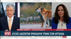 Αργολίδα: Αγέλες αδέσποτων σκύλων προκαλούν ανησυχία στους πολίτες