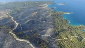 “Ποιοι στηρίζουν αυτά τα σχέδια;” – Καταγγελία Λάμπρου για το δάσος της Κορακιάς